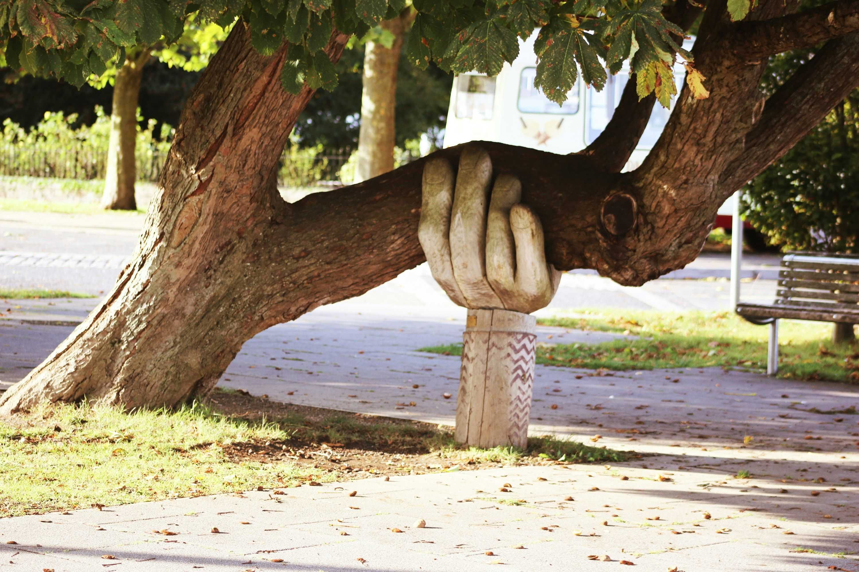 A wooden hand is mounted beneath a tree. It looks like it is holding it