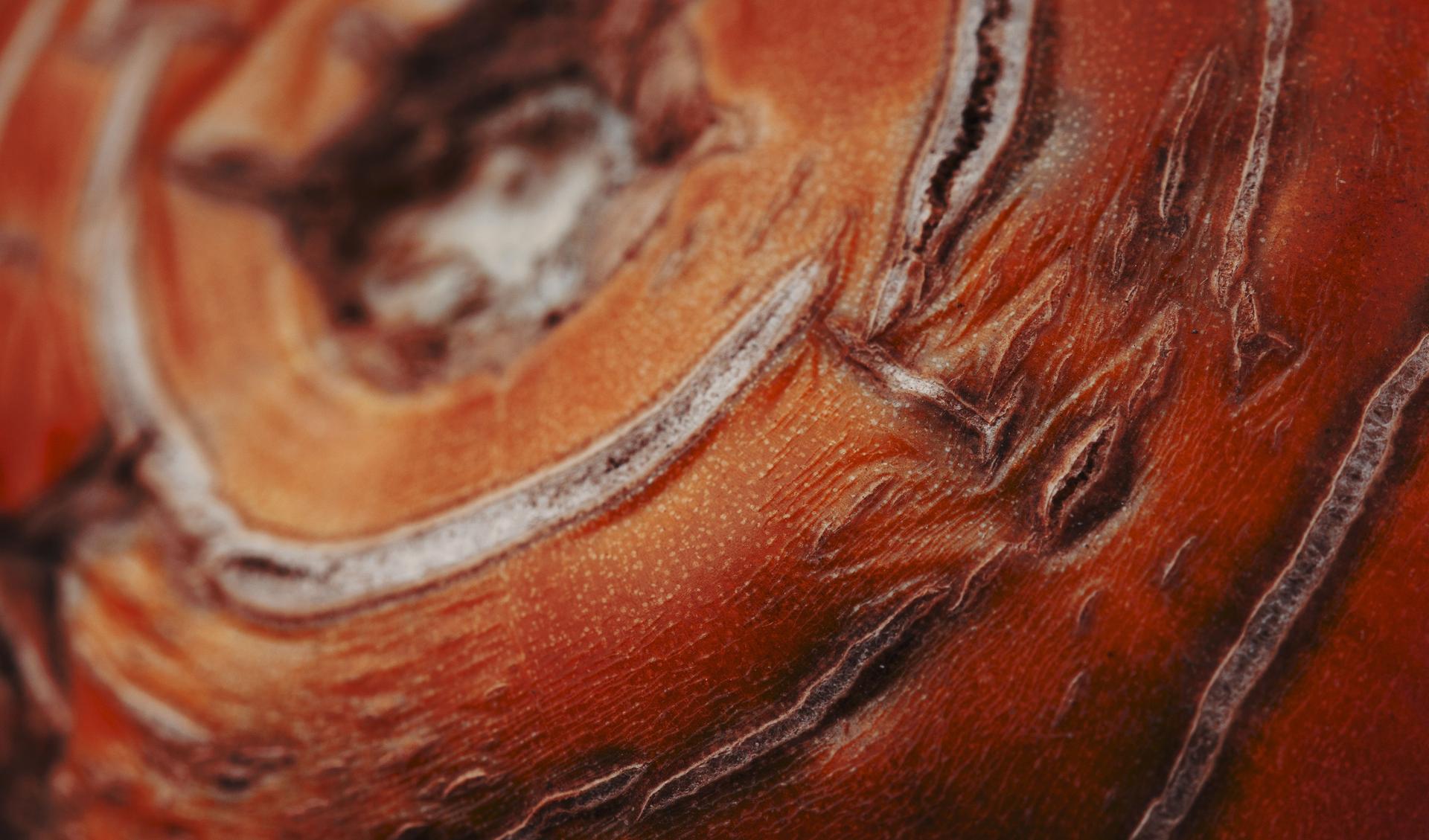 Close up of a tomato that has dry spots