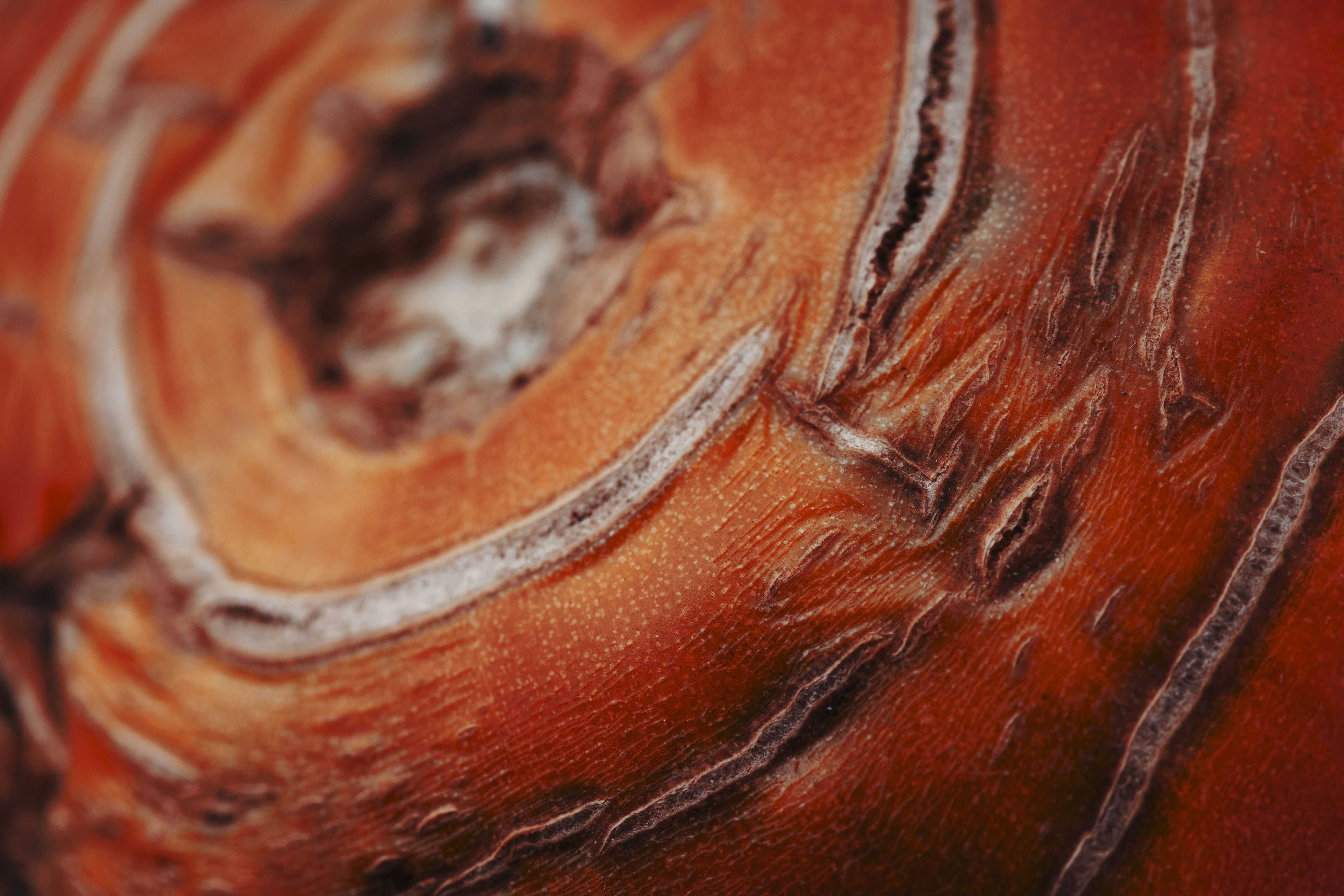 Close up of a tomato that has dry spots