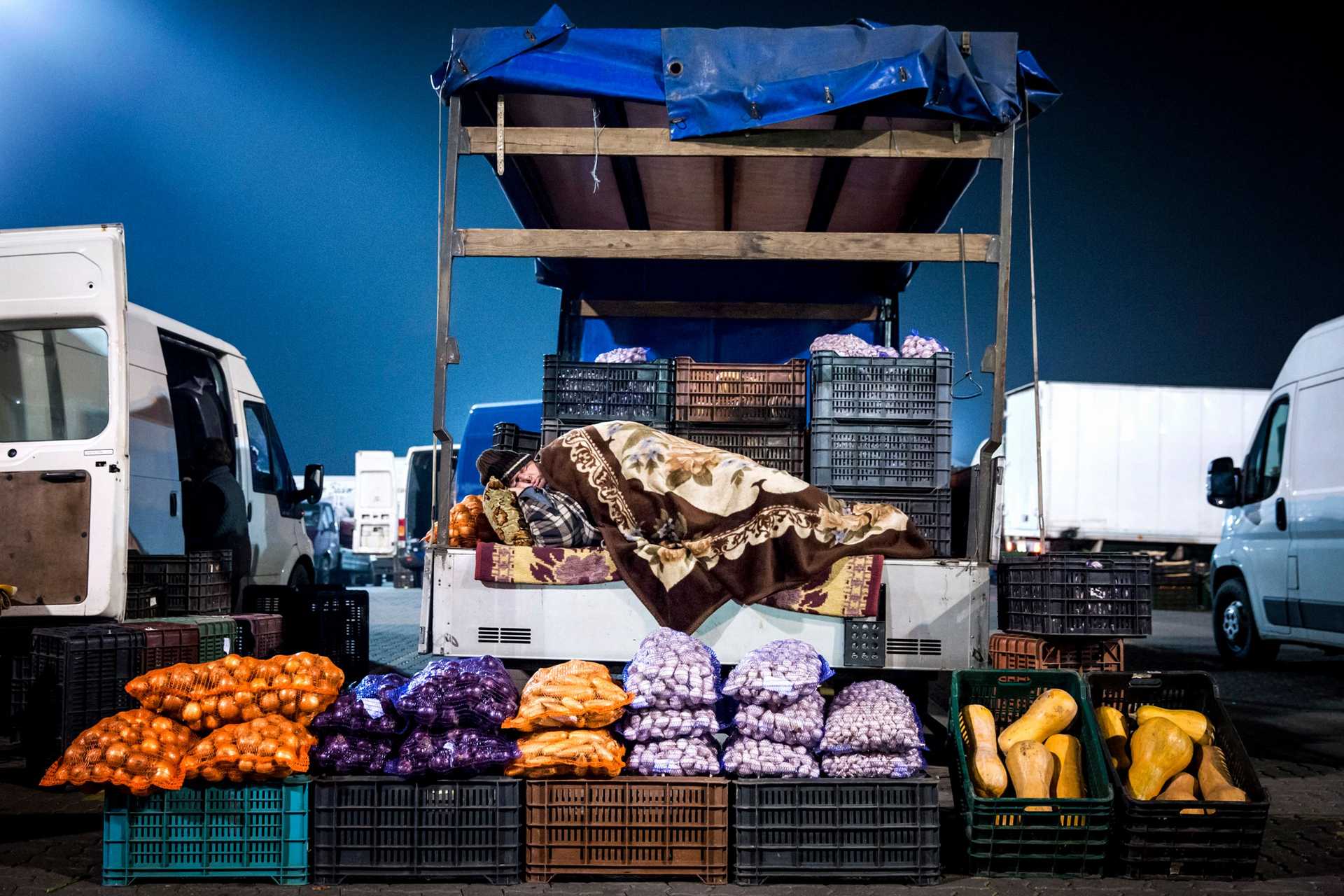 Alternative Text missing