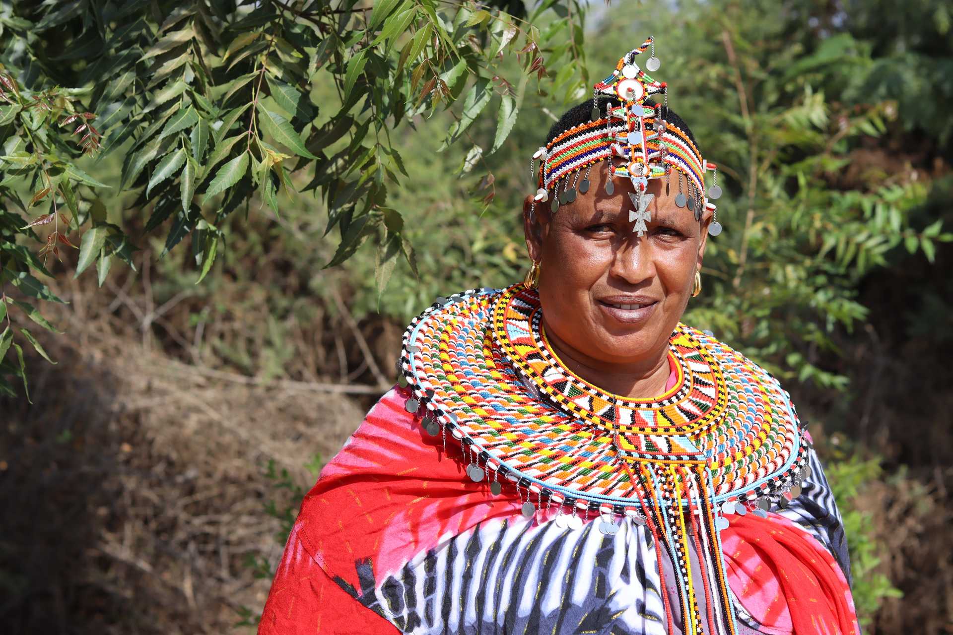 Alternative Text missing