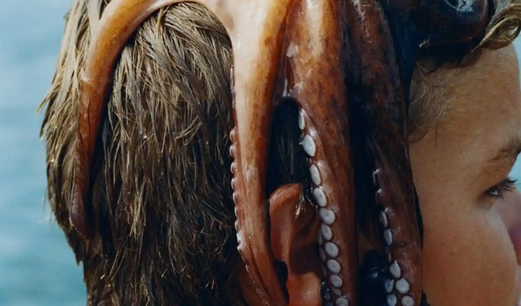 Alternative Text missing