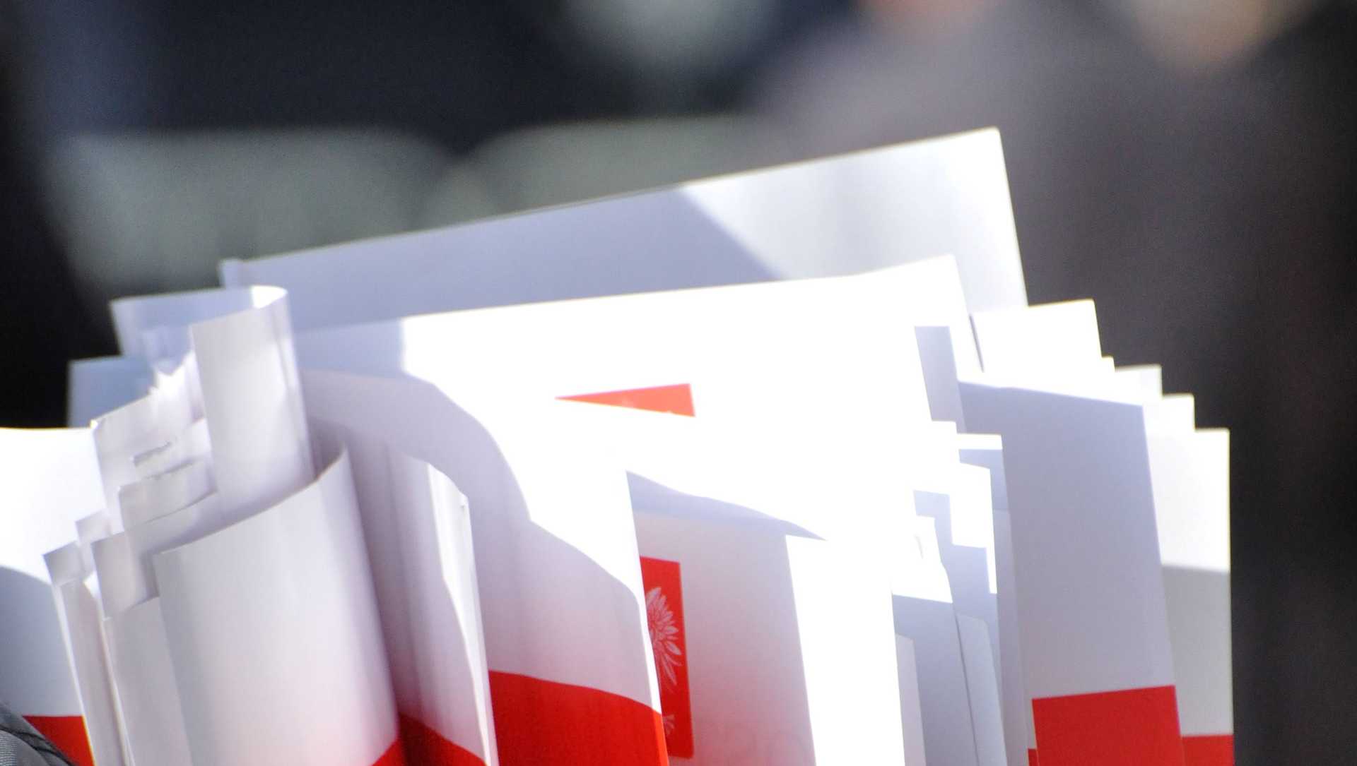 Many little polish swivel flags in the hand of a person