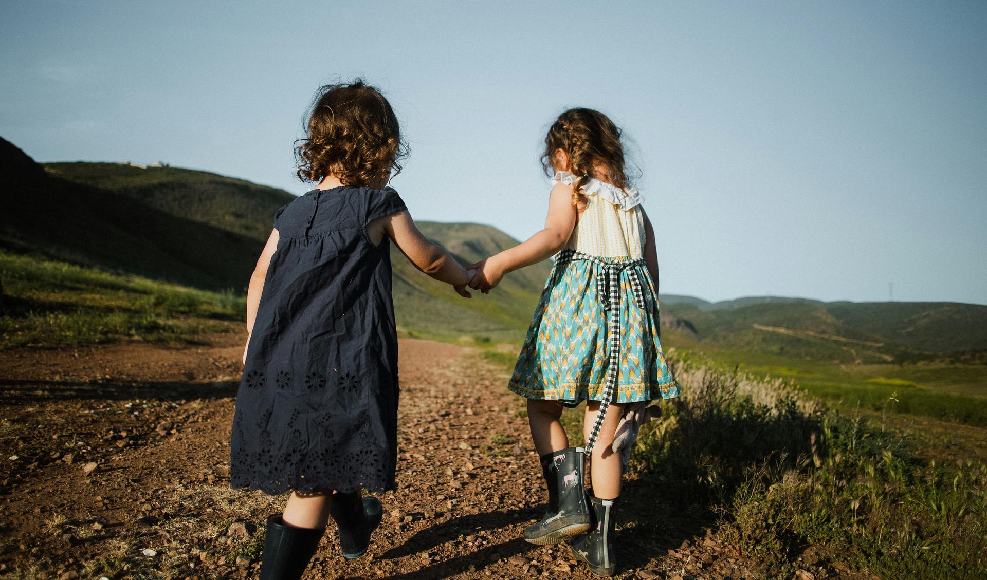 Alternative Text missing