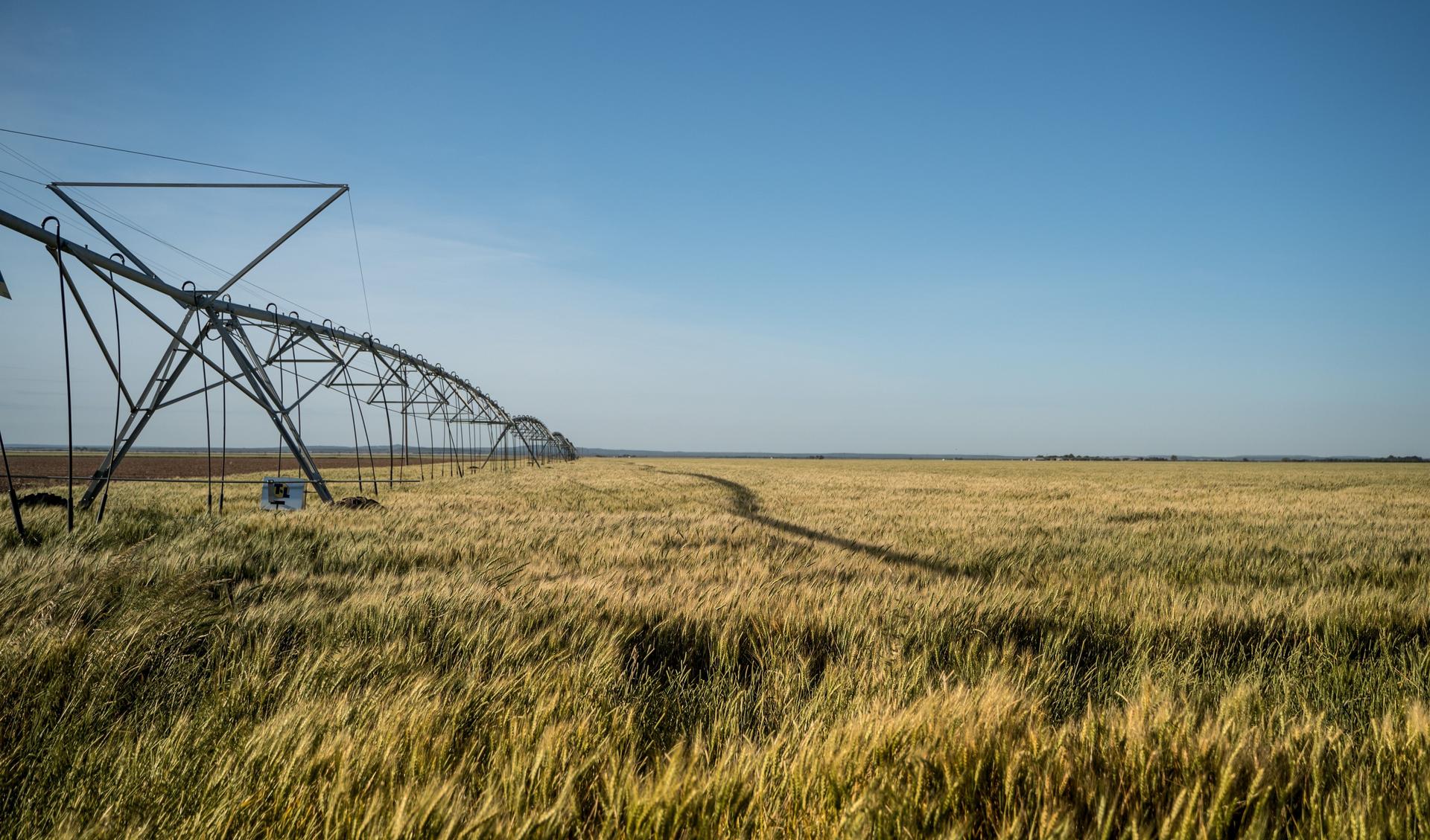 Watering Systems on fields full of crops