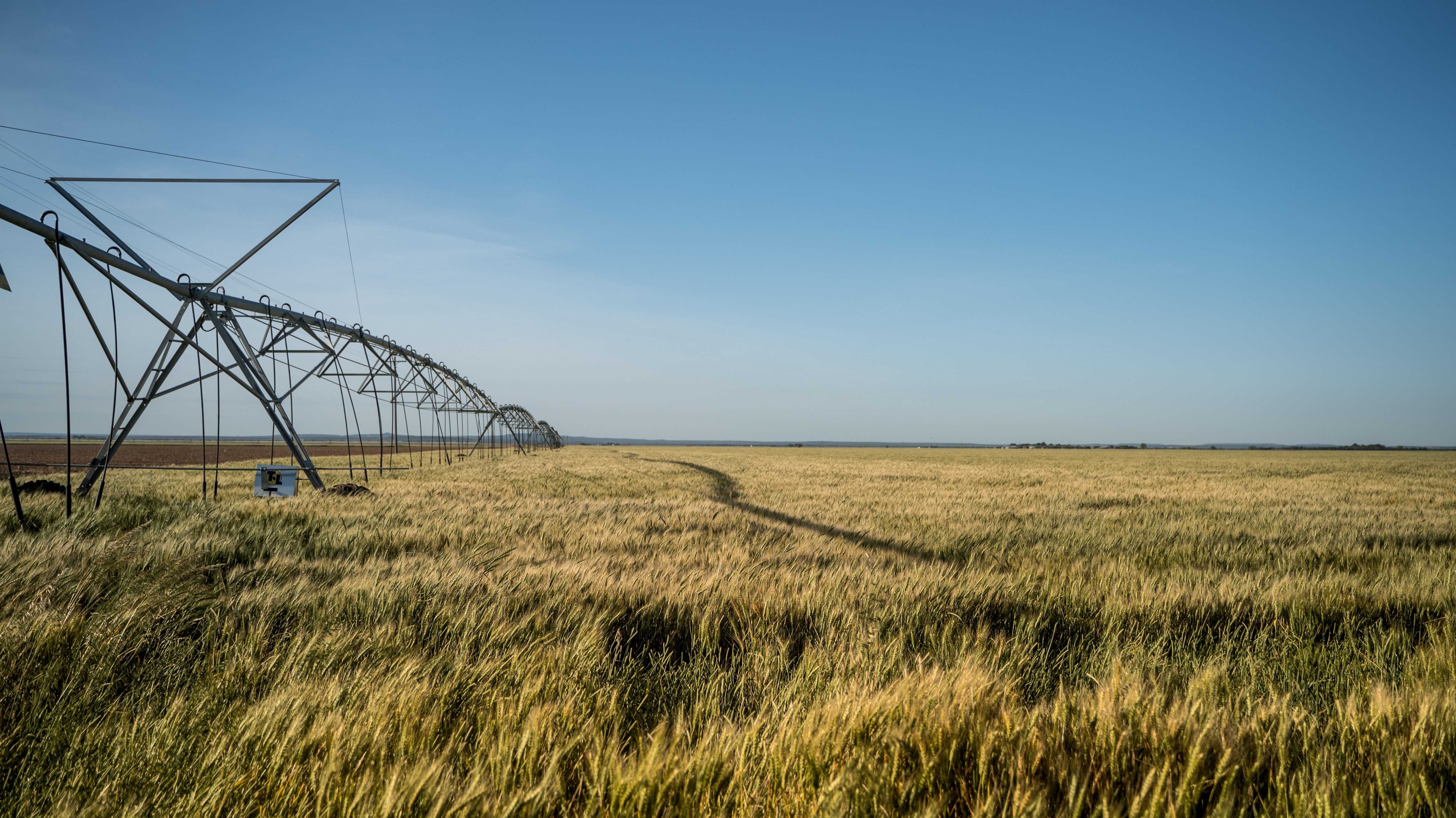 Watering Systems on fields full of crops