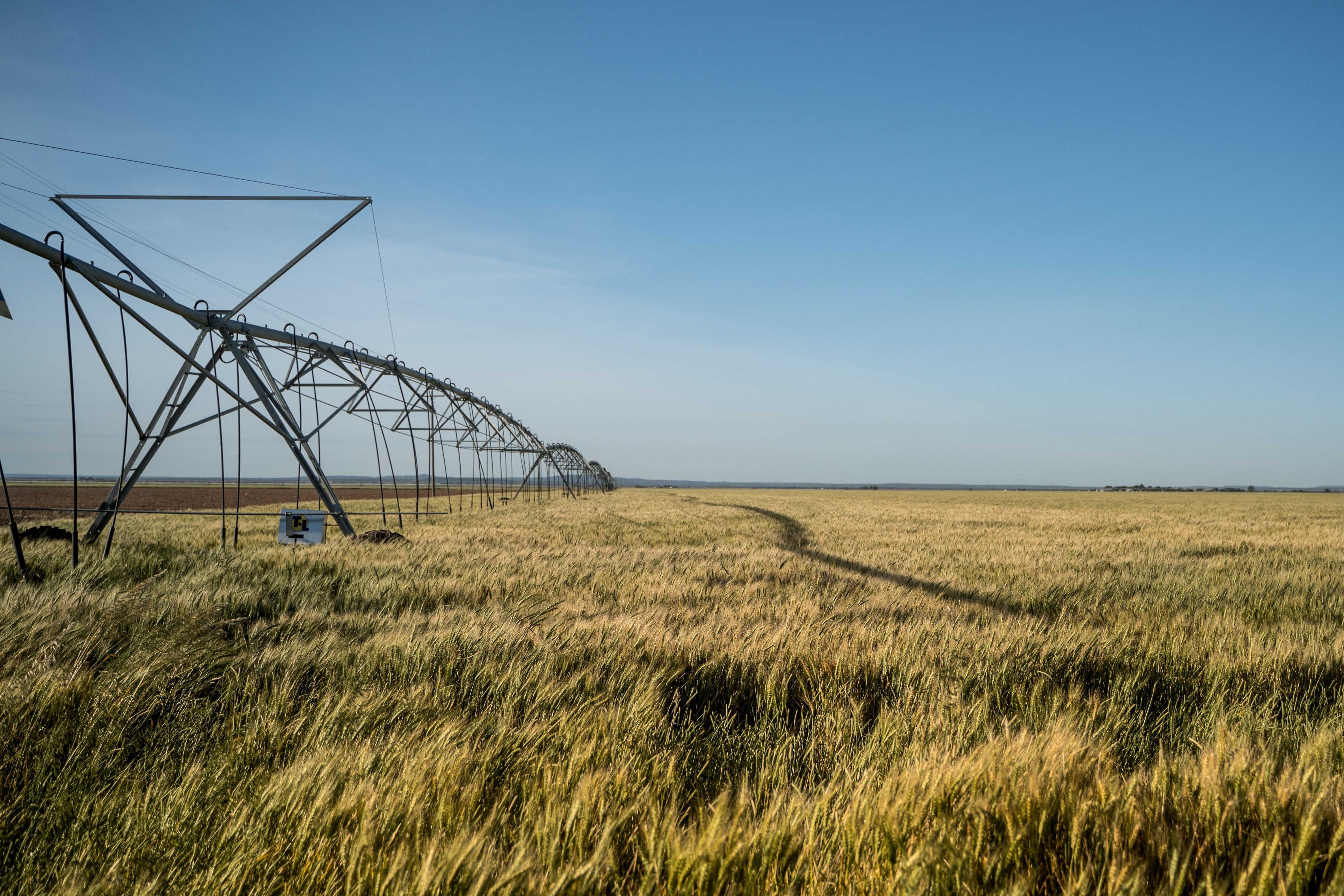 Watering Systems on fields full of crops