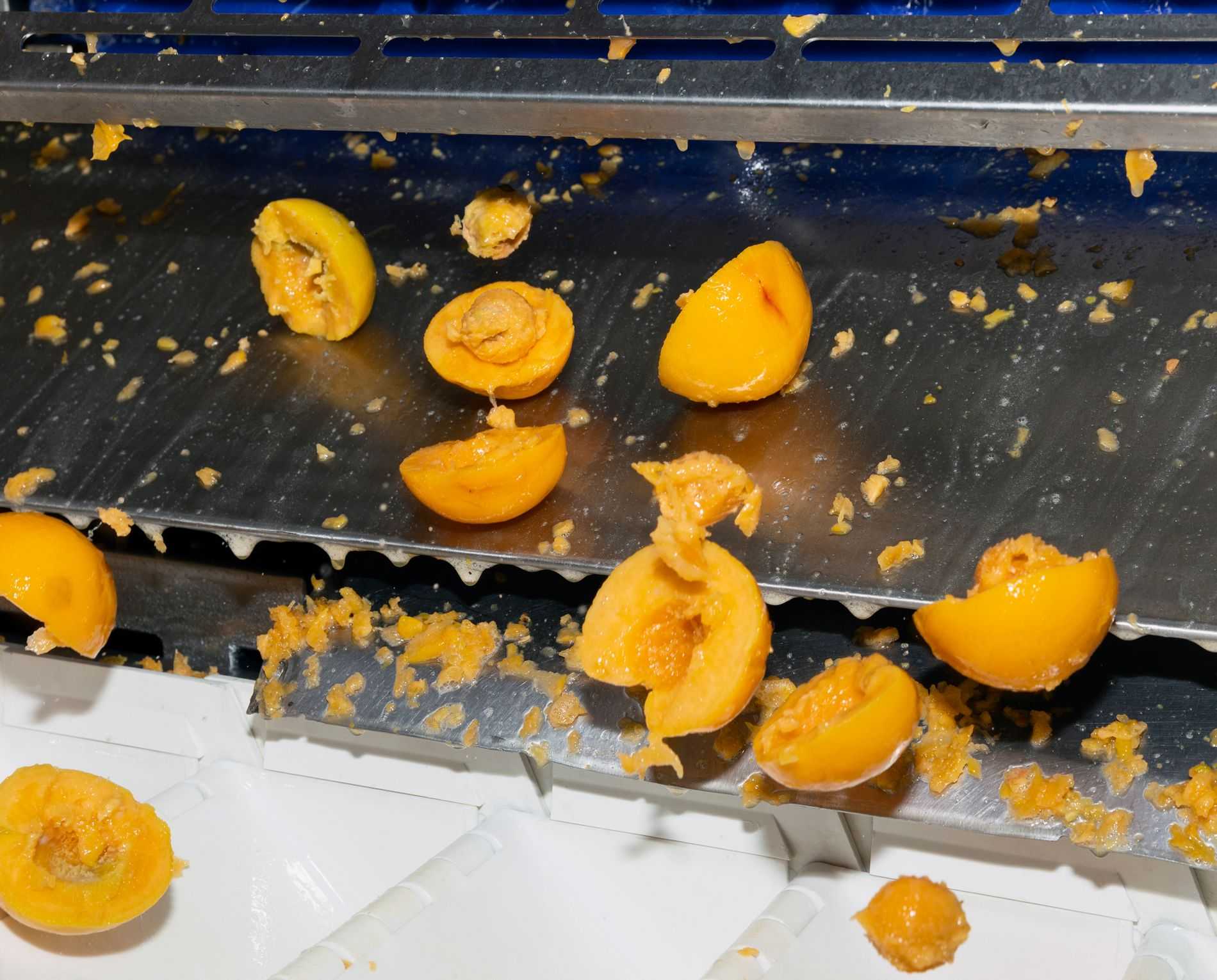 Peeled Peaches are falling down a metal slide in a factory.