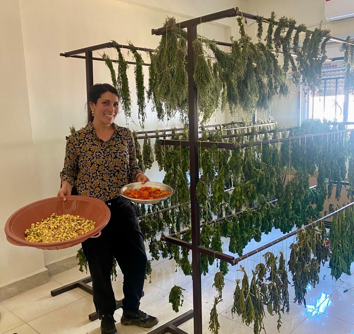 Anuscheh Amir Khalili stands in front of a instrument where herbs are drying